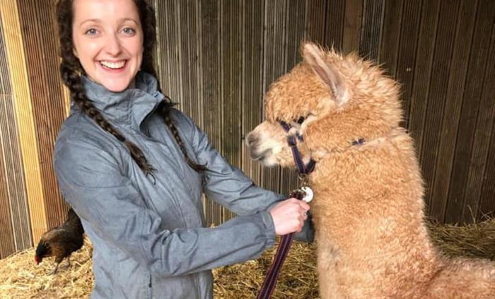 Pembrokeshire Alpaca Trekking